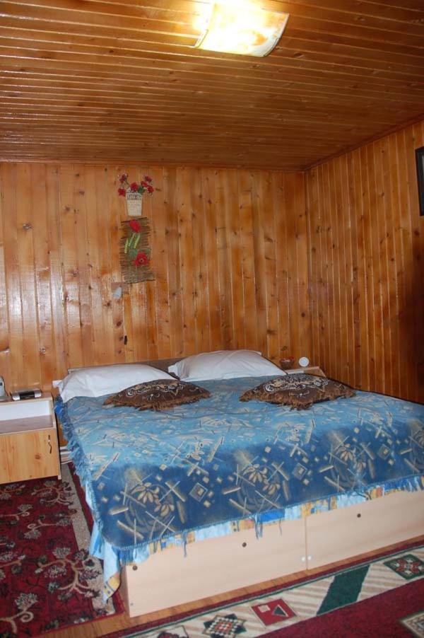 Pensiunea D O R U Arges Hotel Coteneşti Екстериор снимка